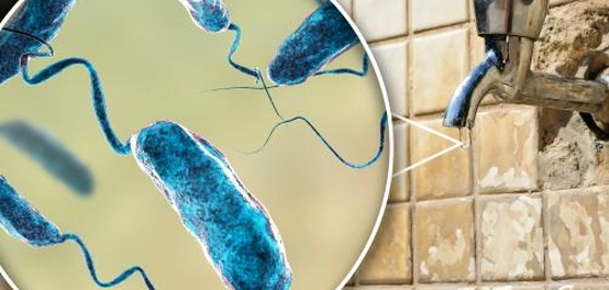 الأمراض الناتجة عن تلوث المياه: الأسباب والوقاية