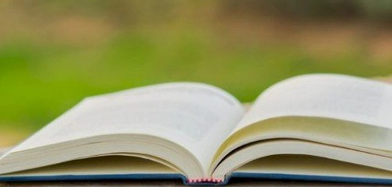 الأدوات الفنية في رواية موسم الهجرة إلى الشمال
