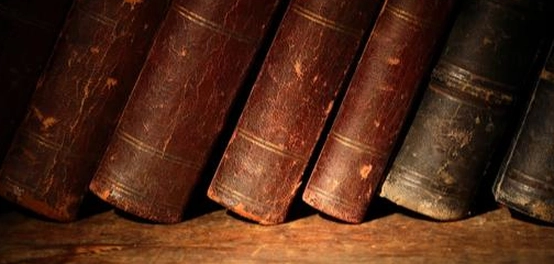 الأدب في عصر المماليك: أنواعه وأهميته
