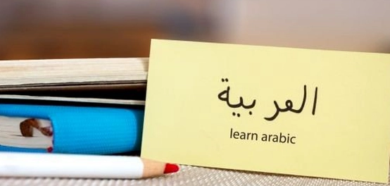 الأجناس الأدبية في اللغة العربية: أنواعها ونظرياتها