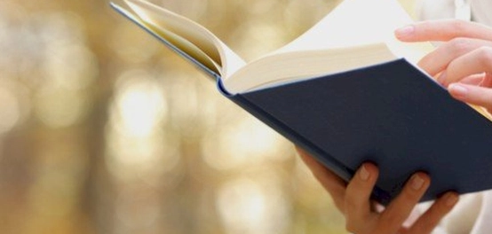 أفضل الاقتباسات والمقتطفات من كتاب نظرية الفستق
