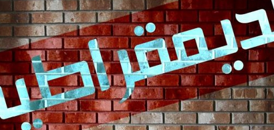 أركان الديمقراطية وصورها: فهم الأنظمة الديمقراطية