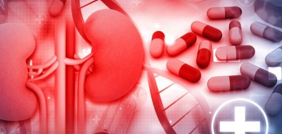 ارتفاع وظائف الكلى: الأسباب، الأعراض، وطرق العلاج