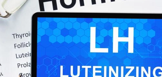 هرمون LH: الأهمية، الوظائف، وأسباب ارتفاعه