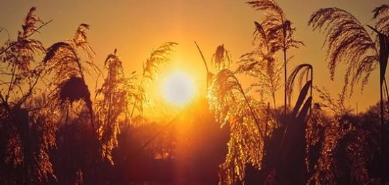 أذكار المساء المكتوبة وأهميتها في حياة المسلم