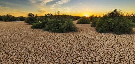 سورة الزلزلة: تعريفها، مقاصدها، وفضلها