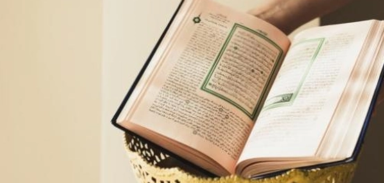 أحكام الميم الساكنة في علم التجويد