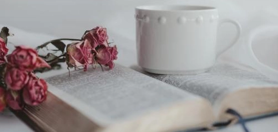 أحبك فلا تسألني ما الدليل &#8211; حب لا يحتاج إلى دليل