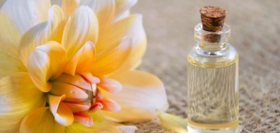 أفضل أنواع العطور الفاخرة ومكوناتها الطبيعية