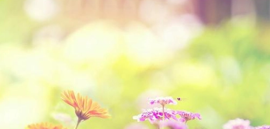 أجمل الحكم والعبارات الملهمة في الحياة
