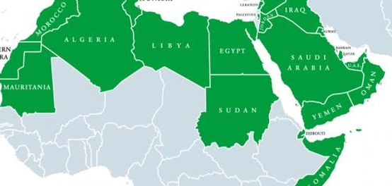البلدان العربية في القارة السمراء