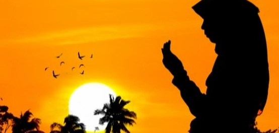 لمحة عن حياة الصحابية أم شريك الأنصارية: قصة من ماء السماء