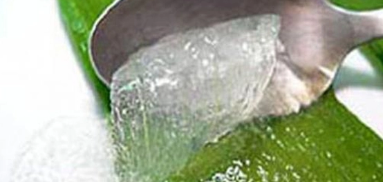 الصبار: سر جمال الشعر وكثافته