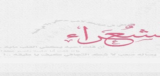 الشعراء: نظرة على مسيرة الإبداع عبر العصور