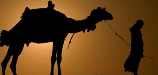 الشاب الظريف (شاعر مترقق)