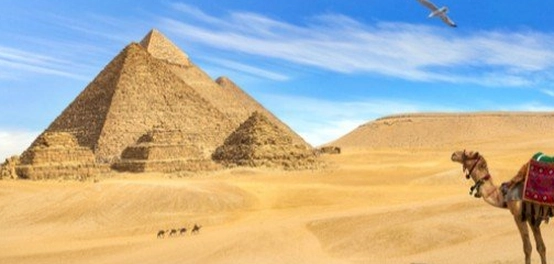 استكشاف مصر: دليل شامل للسياحة