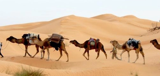 استكشاف روعة الصحراء التونسية: دليل شامل
