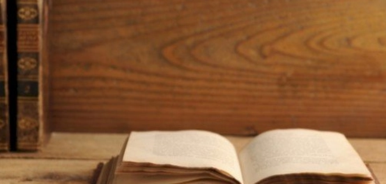 دور النقل والاجتهاد في قواعد اللغة