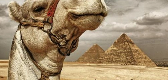 استكشاف مصر: دليل المسافر الشامل