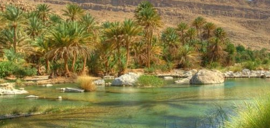 استكشاف صلالة: جوهرة عمان الخضراء