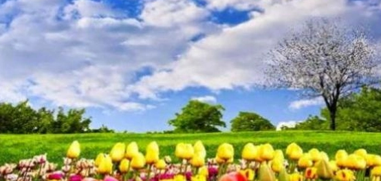 الربيع: موسم الازدهار والجمال
