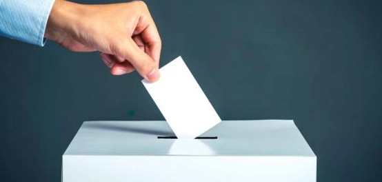 تمييز الاستفتاء عن الانتخاب: تحليل شامل