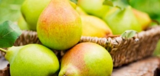 الكمثرى والإجاص: هل هما نفس الفاكهة؟