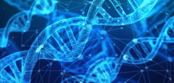 تمييز الأحماض القوية عن الأحماض الضعيفة