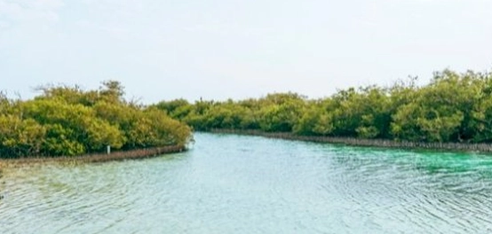 محددات الطقس في جمهورية مصر العربية