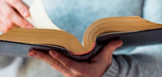 محددات تشكيل الحس الأدبي الرفيع