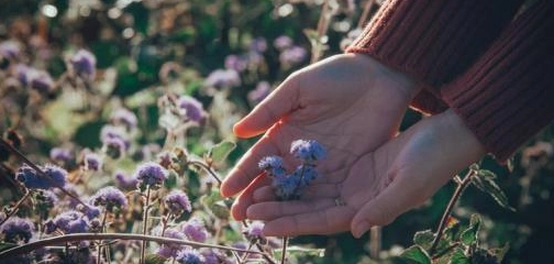 تنمية الذات في علم النفس