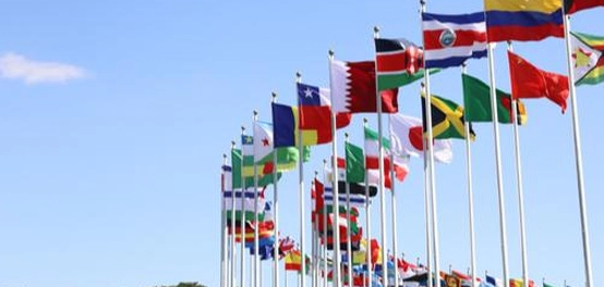 الراية الوطنية: دلالاتها وأهميتها