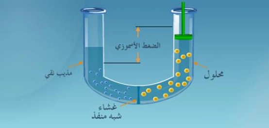 الضغط الأسموزي: نظرة شاملة
