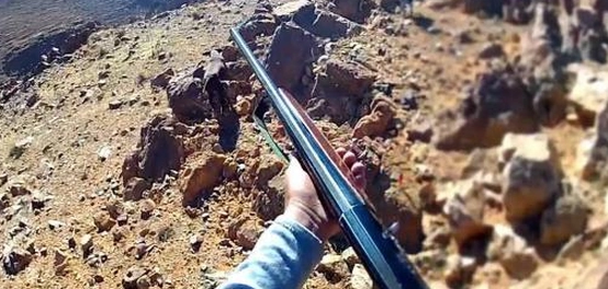 الصيد البري في المغرب: نظرة شاملة