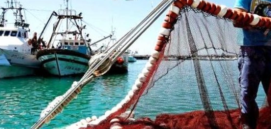الصيد في المياه المالحة: عالم من التقنيات والفروق