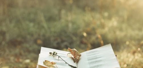 تحليل فني: البلاغة في لامية العرب