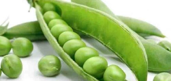 السمات الوراثية: السائدة وال recessive
