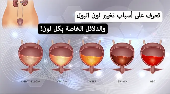 لماذا يتغير لون بولك؟ اكتشف أسباب تغير لون البول ودلالاته الصحية