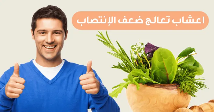 ضعف الانتصاب: الأسباب الشائعة، متى تحتاج للمساعدة، والأعشاب التي قد تساعدك