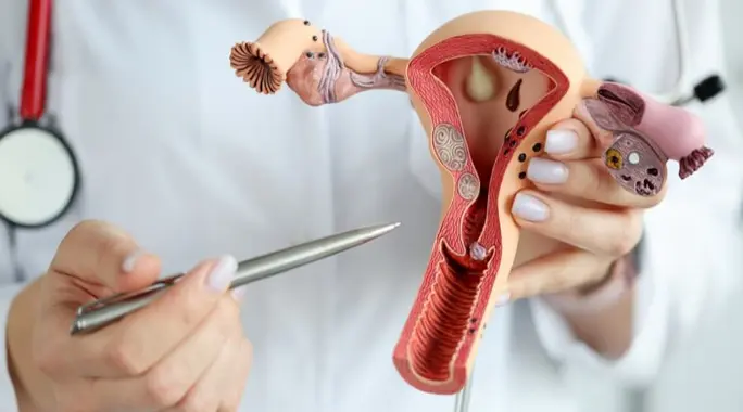 قرحة عنق الرحم: دليلك الشامل للأسباب والأعراض والعلاج والوقاية