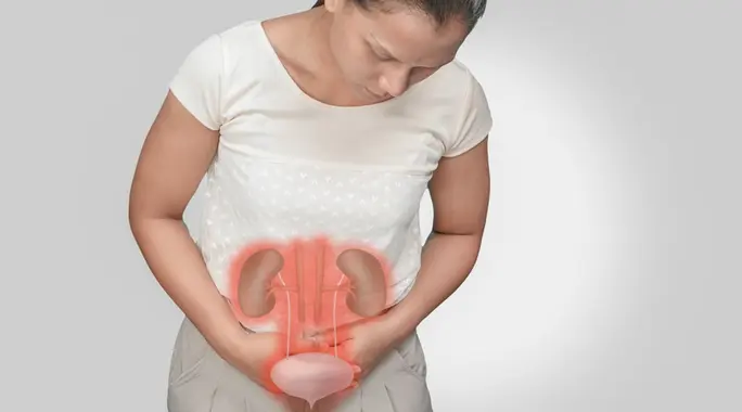 مشاكل المثانة: دليل شامل لأبرز تحدياتها وكيفية الحفاظ على صحتها