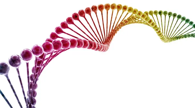المادة الوراثية DNA: دليلك الشامل لفهم شيفرة الحياة وأسرارها