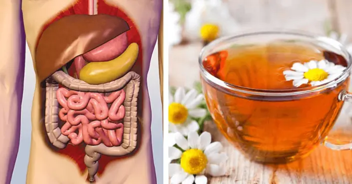 5 أعشاب سحرية: دليلك الطبيعي لتهدئة القولون العصبي والتخلص من آلامه