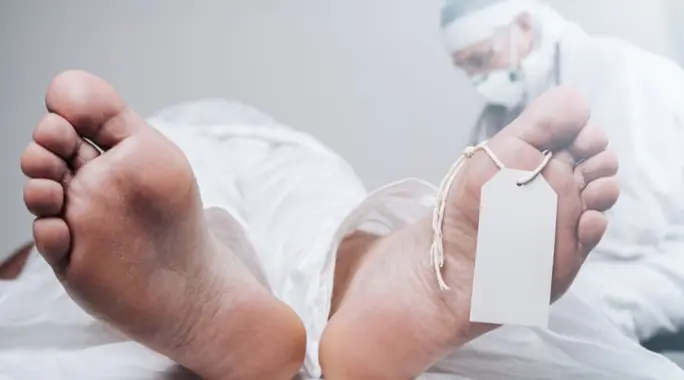 Unveiling the Post-Mortem Journey: What Happens to Your Body After Death