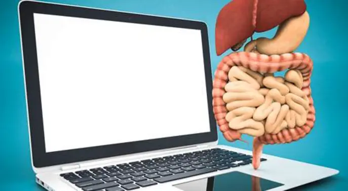 What You Need to Know About Your Digestive System: A Comprehensive Guide