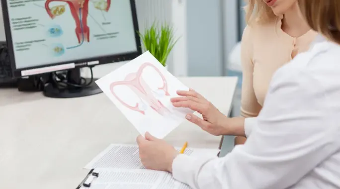 الرحم ذو القرنين: دليلك الشامل لفهمه واكتشافه وتدبيره