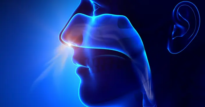 ذات الرئة الاستنشاقية: دليلك الشامل لفهمها والوقاية منها