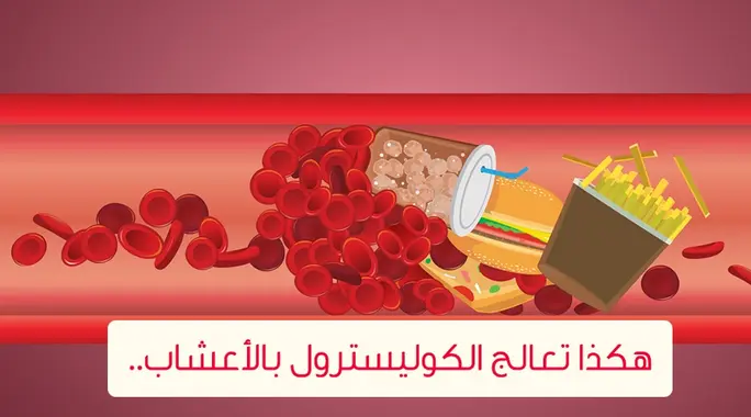 اكتشف قوة الطبيعة: دليل شامل لعلاج الكوليسترول بالأعشاب والمكملات الطبيعية