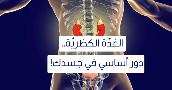 الغدة الكظرية: فهم دورها الحيوي وأبرز مشاكلها الصحية
