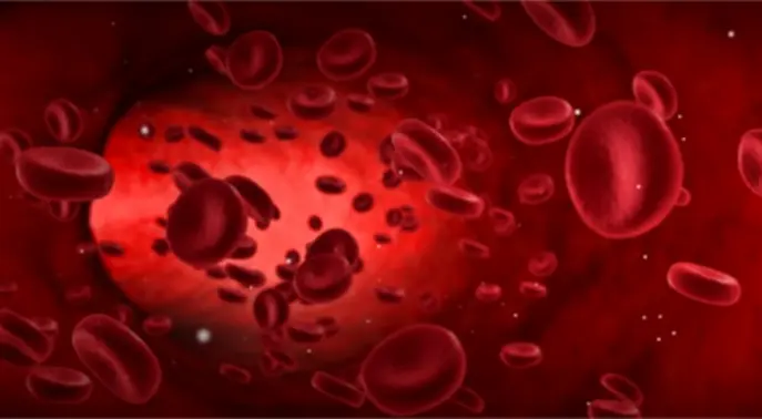 مرض اكتناز الحديد: عندما ينقلب الحديد ضد الجسم! دليل شامل لصحة أفضل
